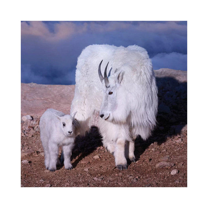Above The Clouds by OLena Art - Wrapped Canvas Gallery-Wrapped Canvas Giclée, 30.48 cm H x 30.48 cm W
