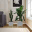 Shute Modern Glass Planter Box Flower Vase Crystal Room Garden Decor-113364248