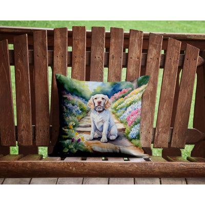 Spring Path Other/No Pattern Outdoor Throw Pillow