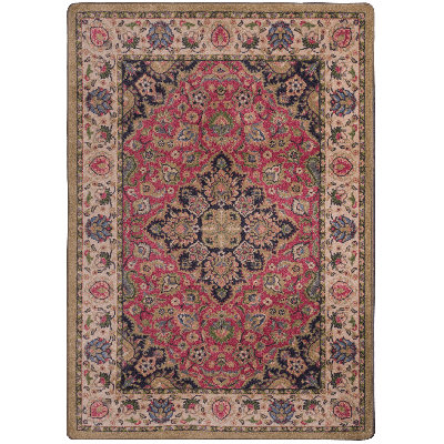 Prolley Oriental Indoor Rug