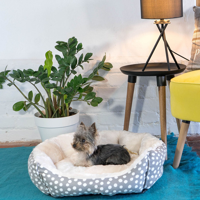 Kayson Polyester Pet Bed, Large (20cm H x 60cm W x 70cm D)