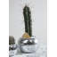 Pot disco Braeden-1672002431