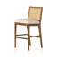 Antonia Cane Armless Counter & Bar Stool-1773133483-1773133484