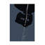 Art sur toile «bol Thoth Adan Moonlit»-103100846