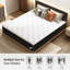 Matelas hybride moyen 12 po pleine grandeur-1528273788-1536784474
