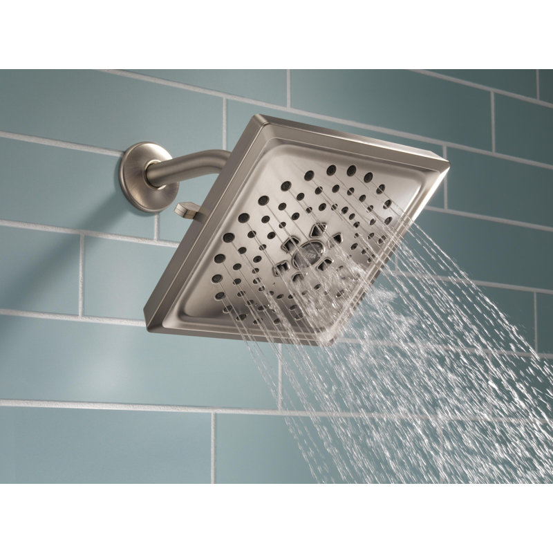 Rain Adjustable Shower Head with H2Okinetic Technology, Lumicoat Stainless