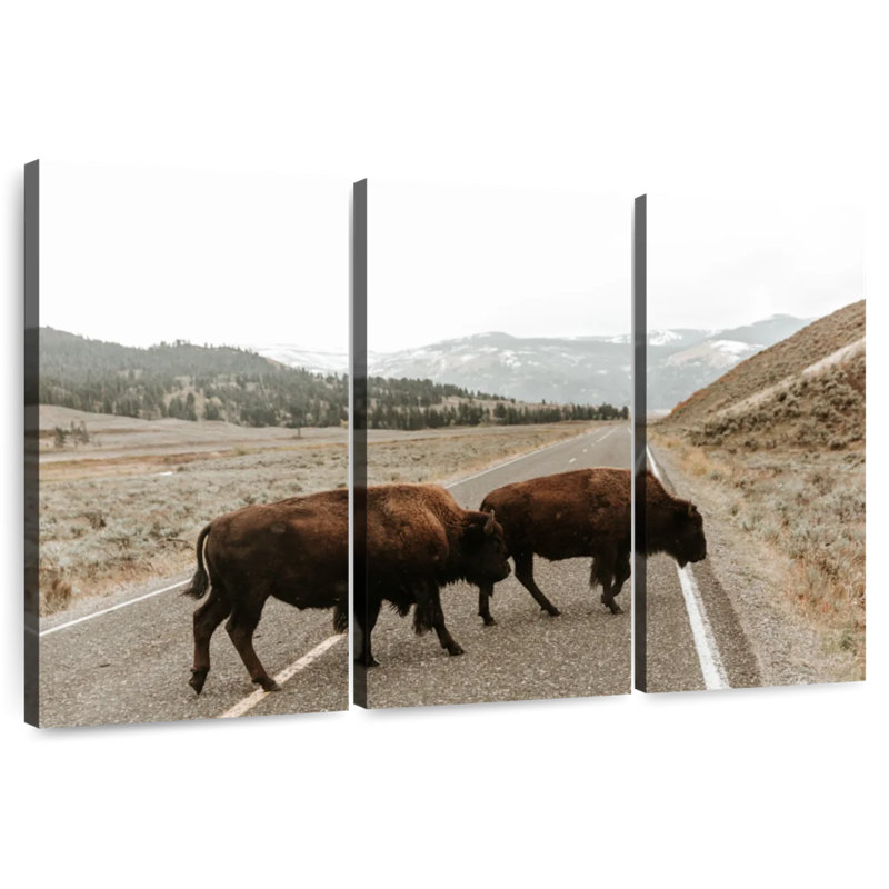 Brampt Buffalo Crossing Highway, H 48 po x l 74 po
