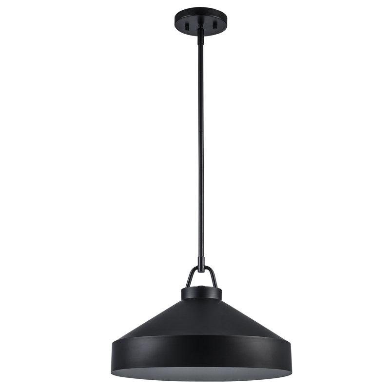 Luminaire suspendu en forme de dôme à 1 lumière Lowen, H 49,25 po x l 16 po x P 16 po, Noir