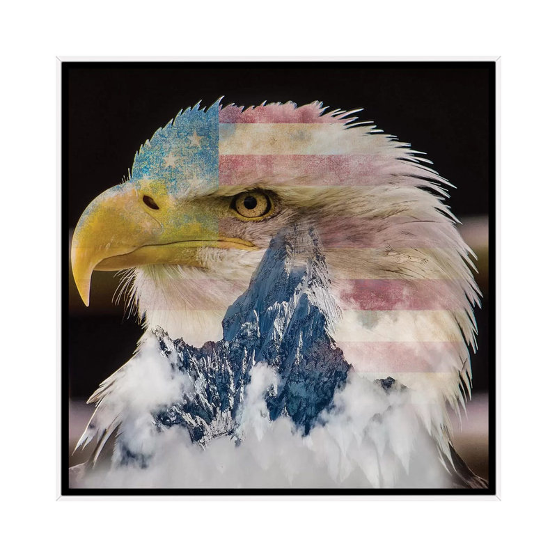 Eagle I by Paul Haag - Print on Canvas, 66.04 cm H x 66.04 cm W, White Framed