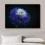 «Blooming Blue White Chrysanthemum» sur-99543805