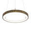 Anillo Halo 1 - Light LED Chandelier