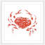 Andrew Clay - Single Picture Frame Print-20604363