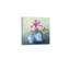 Protea chinois rose dans un vase bleu, reproduction d'art sur toile 24 x 24 po