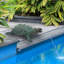 Traipsing Turtle Garden Statue