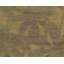 Paradise Floral Area Rug in Gold/Taupe-45410672