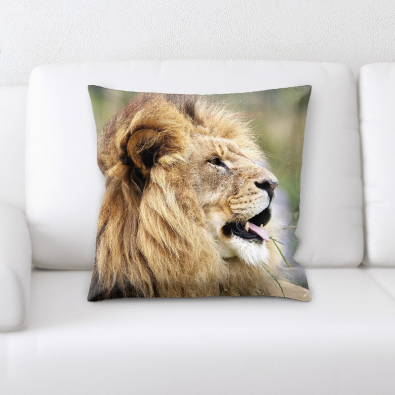 Microsuede Throw Pillow