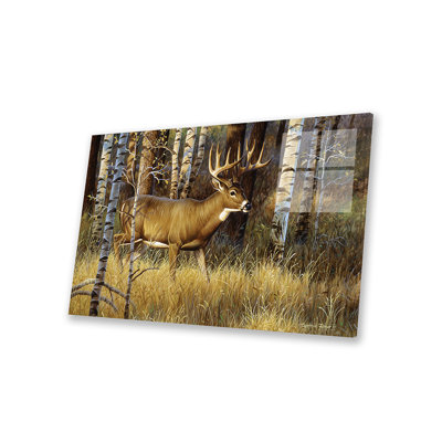 " Whitetail Buck II "