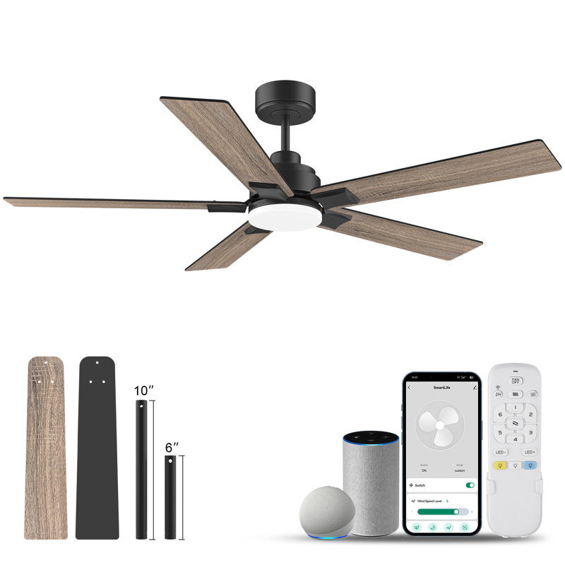 Ventilateur de plafond noir d'intérieur / extérieur 52 pouces à 5 pales avec lumière DEL, télécommande et commande vocale via Alexa, à intensité variable