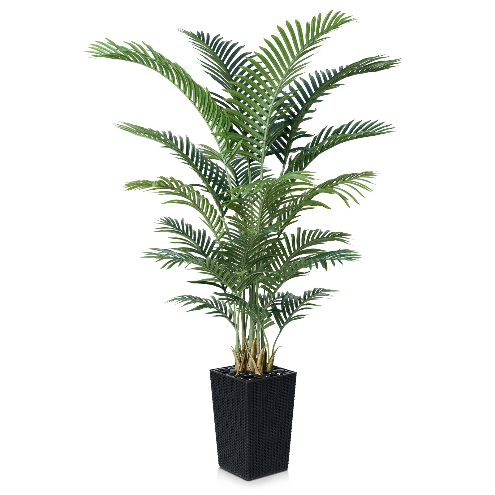 Aliza Palm Tree in Decorative Vase, Black, 72" H x 24" W x 24" D