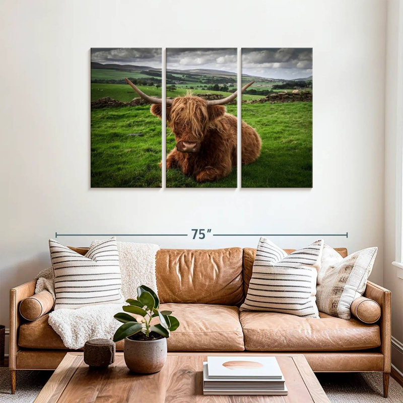 Mellow Highland Cow, 36" H x 57" W