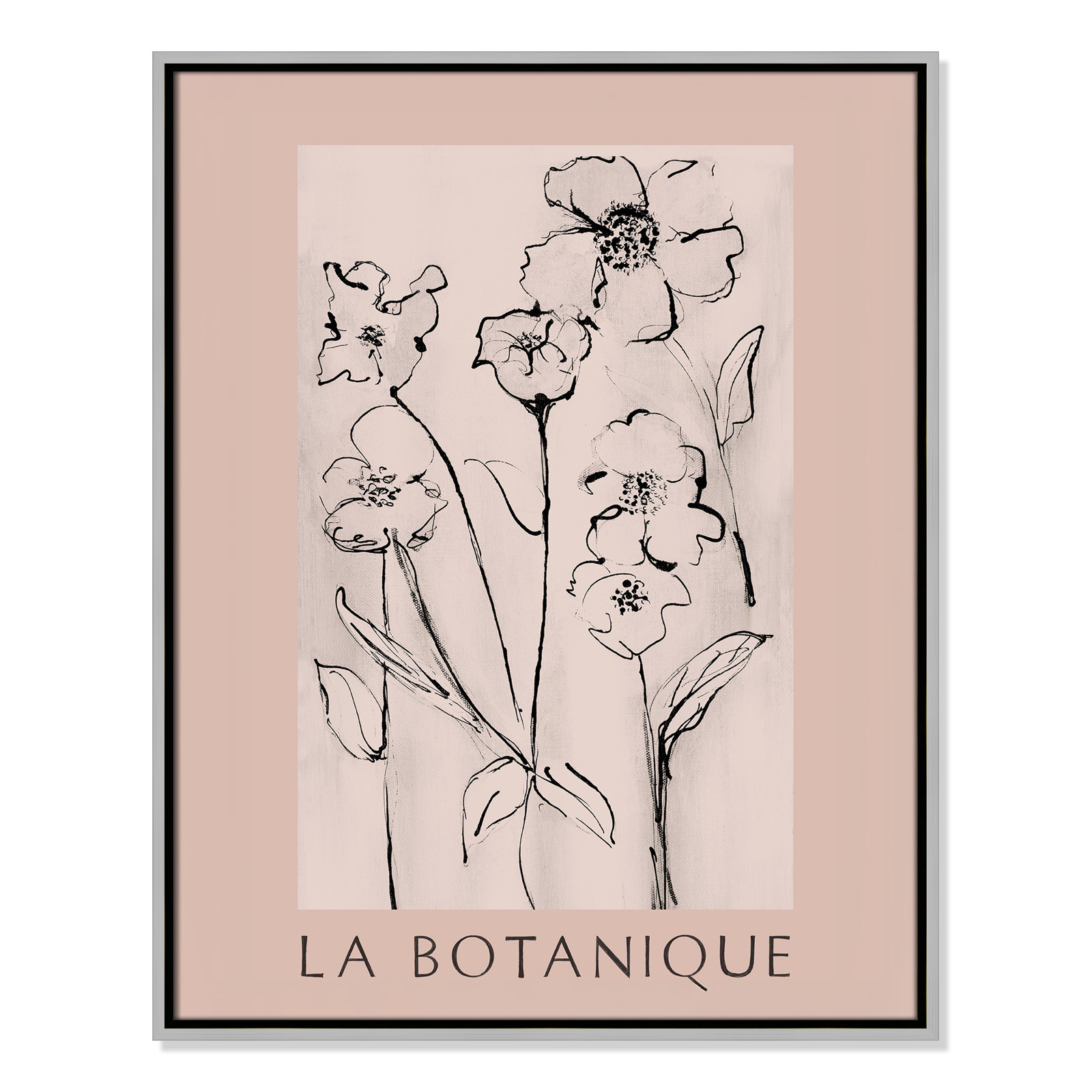 Botanical Poster Collection "La Botanique" Print by Susan Jill, No, 29.5" H x 23.5" W x 2" D, Silver Floater Frame