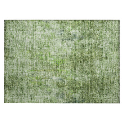  Caseville Area Rug