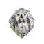 Lion Mask Wild Nature