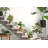 Haven Pot Planter-1862036509-1864059269