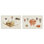 «Antique Shell Anthology», ensemble de 2 toiles murales par Vision Studio