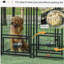 Chenil d'extérieur pour chien 5 pi x 5 pi x 5 pi PawHut