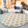 Frankee Performance Ikat Indoor/Outdoor Area Rug