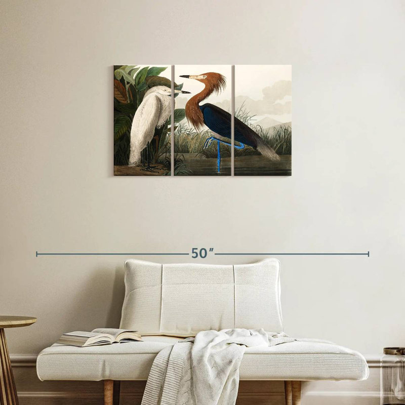 Purple Heron, 20" H x 33" W