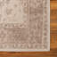 Tapis traditionnel traditionnel Emigdio de couleur crème-170454361