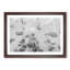 Cluster of Jellyfish in Abstract - Picture Frame Graphic Art Print-55684774-55684777