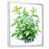 Cadre flottant blanc
