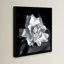 "Gardenia" par Debra VanS vêtementsingen, photographie de fleur sur toile tendue-1635099190-1665954826-1731950402