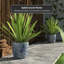 Ceramic Planter-2018868959