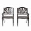 Chaise avec accoudoirs PHOENIX (ensemble de 2)