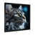 Black Single Picture Framed