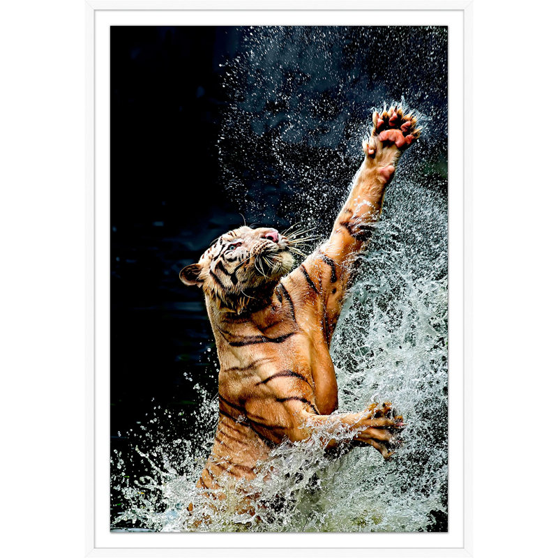Tiger Jump 1 Print by Mat Sanders
