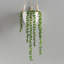 Plante grasse artificielle