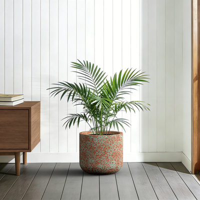 14 in. Medium Teal（Upgraded Interior） Concrete Round Cylindrical Planter / Pot with Drainage Holes for Indoor & Outdoor