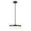Luminaire suspendu 13 po Haddon-123223077