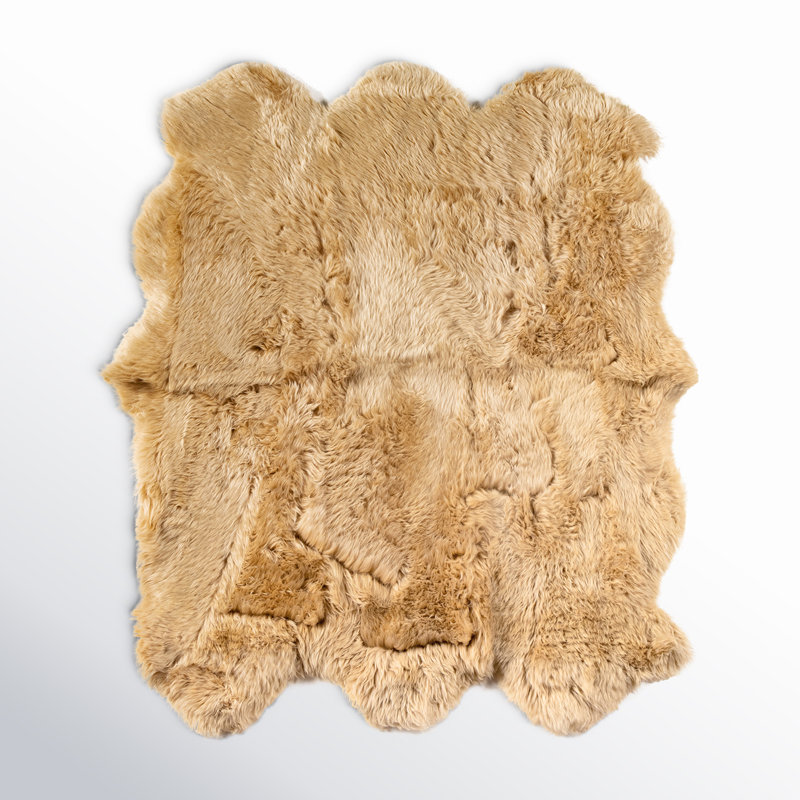 Lalo Sheepskin Area Rug in Cream, Novelty 4'6" x 5'9"