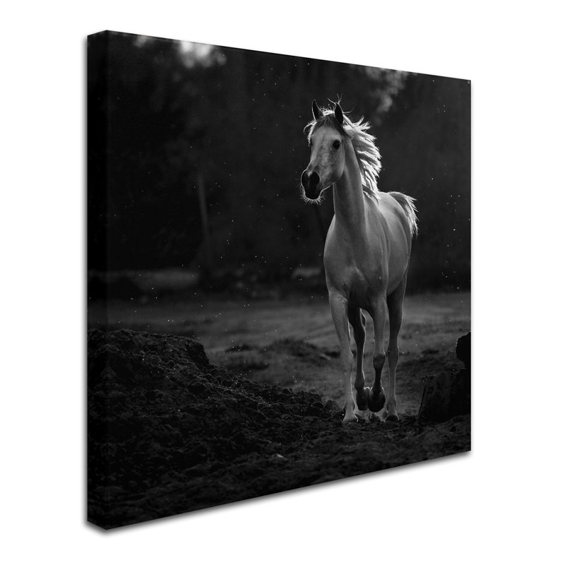 Art mural sur toile tendue - "Coquetry" par Abdullah Al-Saeed pour décoration de salon, de chambre à coucher ou de bureau - 24 x 24