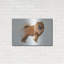 «Chow Chow» par Harro Maass-2064251929