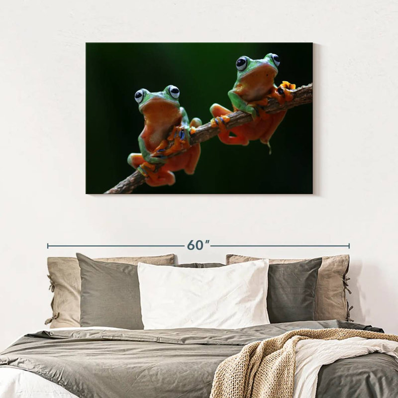 Two Wallace's Flying Frogs, 30" H x 45" W