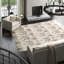 Hand Knotted Geometric Area Rug