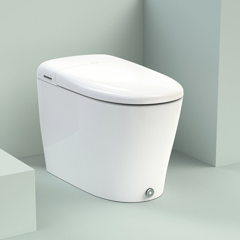 Toilette à bidet intégrée Coit