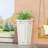 MGO PLANTER